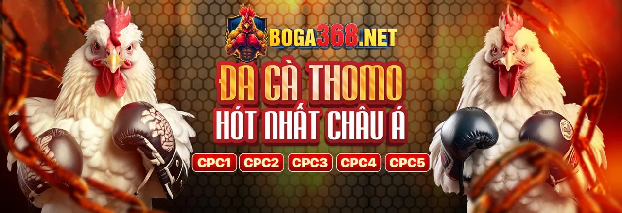Đấu trường gà đá trực tuyến 58vip
